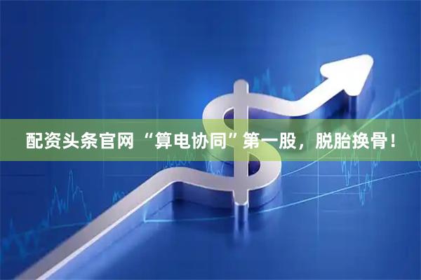 配资头条官网 “算电协同”第一股，脱胎换骨！
